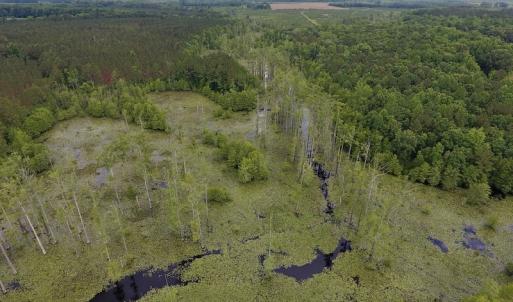 Photo #43 of SOLD property in 8510 Gates Road, Suffolk, VA 650.0 acres