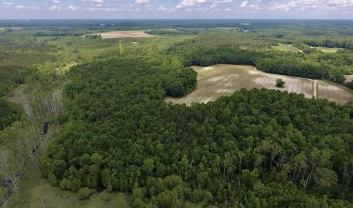 Photo #46 of SOLD property in 8510 Gates Road, Suffolk, VA 650.0 acres