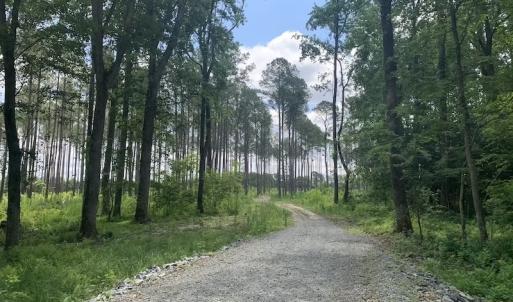 Photo #47 of SOLD property in 8510 Gates Road, Suffolk, VA 650.0 acres