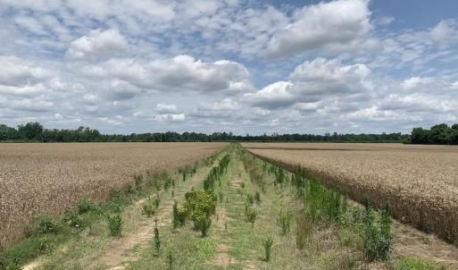 Photo #48 of SOLD property in 8510 Gates Road, Suffolk, VA 650.0 acres