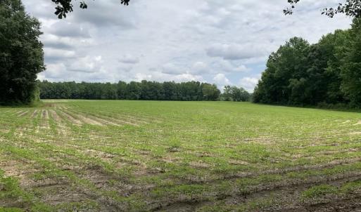 Photo #49 of SOLD property in 8510 Gates Road, Suffolk, VA 650.0 acres