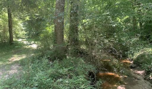 Photo #24 of SOLD property in Off Stoneridge Lane  , Rocky Mount, NC 2.5 acres