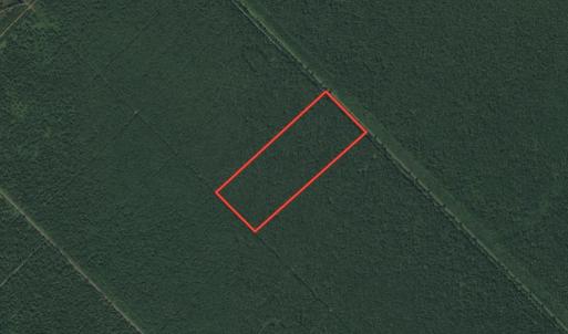 Photo #1 of SOLD property in Off New Lake Road, Belhaven, NC 60.0 acres