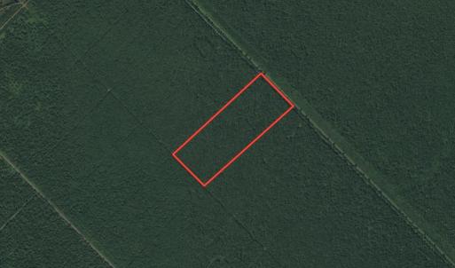 Photo #1 of SOLD property in Off New Lake Road, Belhaven, NC 60.0 acres