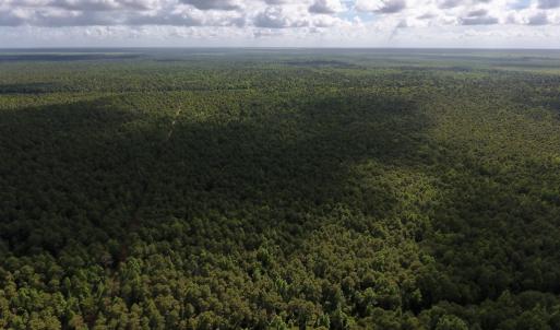 Photo #13 of SOLD property in Off New Lake Road, Belhaven, NC 60.0 acres