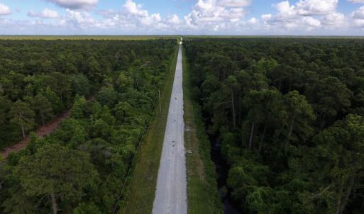 Photo #18 of SOLD property in Off New Lake Road, Belhaven, NC 60.0 acres