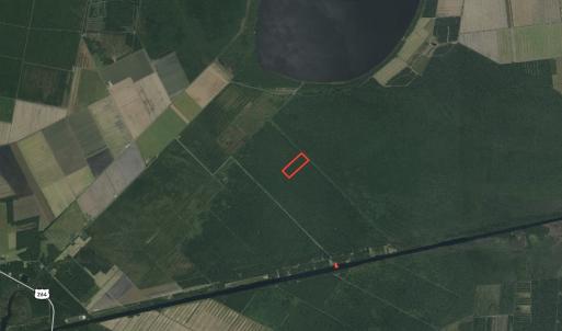 Photo #2 of SOLD property in Off New Lake Road, Belhaven, NC 60.0 acres
