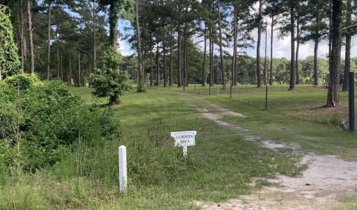 Photo #27 of SOLD property in Off New Lake Road, Belhaven, NC 60.0 acres