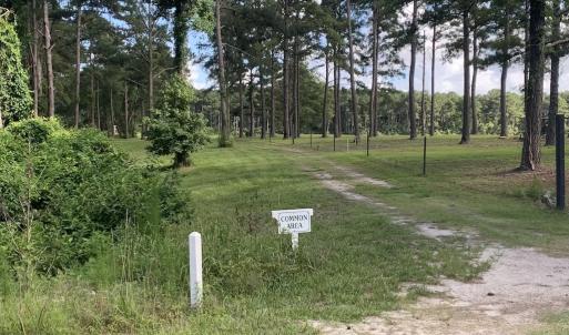 Photo #27 of SOLD property in Off New Lake Road, Belhaven, NC 60.0 acres