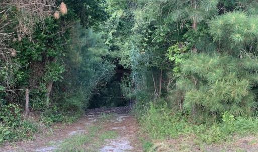 Photo #28 of SOLD property in Off New Lake Road, Belhaven, NC 60.0 acres
