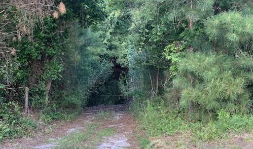 Photo #28 of SOLD property in Off New Lake Road, Belhaven, NC 60.0 acres