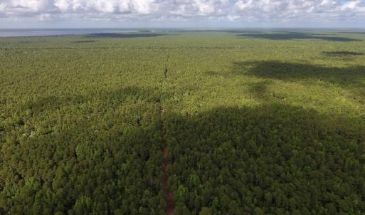 Photo #5 of SOLD property in Off New Lake Road, Belhaven, NC 60.0 acres