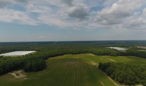 Photo #2 of SOLD property in Off Veachs Mill Road, Warsaw, NC 177.0 acres