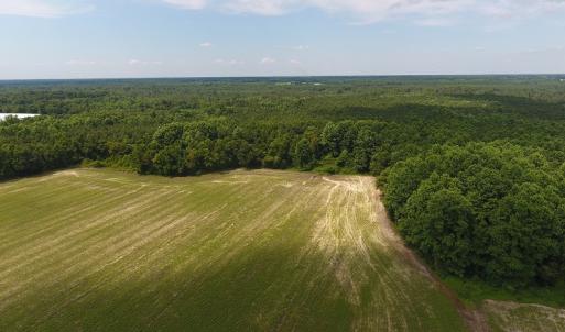 Photo #11 of SOLD property in Off Veachs Mill Road, Warsaw, NC 177.0 acres