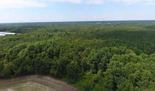 Photo #12 of SOLD property in Off Veachs Mill Road, Warsaw, NC 177.0 acres