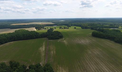 Photo #14 of SOLD property in Off Veachs Mill Road, Warsaw, NC 177.0 acres