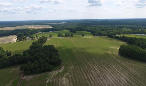 Photo #3 of SOLD property in Off Veachs Mill Road, Warsaw, NC 177.0 acres