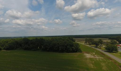 Photo #6 of SOLD property in Off Veachs Mill Road, Warsaw, NC 177.0 acres