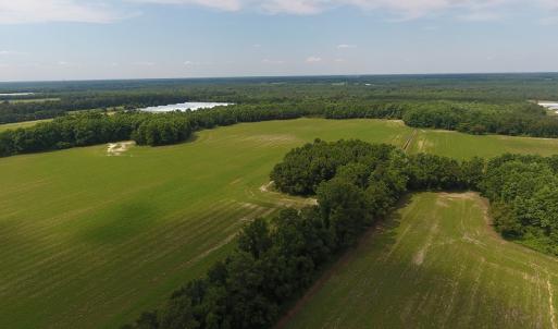 Photo #8 of SOLD property in Off Veachs Mill Road, Warsaw, NC 177.0 acres