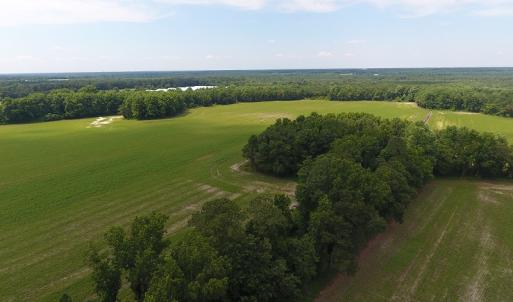 Photo #9 of SOLD property in Off Veachs Mill Road, Warsaw, NC 177.0 acres