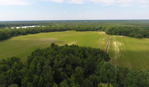 Photo #10 of SOLD property in Off Veachs Mill Road, Warsaw, NC 177.0 acres