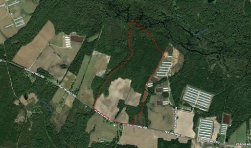 Photo #1 of SOLD property in Off Veachs Mill Road, Warsaw, NC 177.0 acres