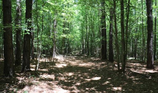 Photo #10 of SOLD property in Off Pumping Station Road, Sanford, NC 35.0 acres