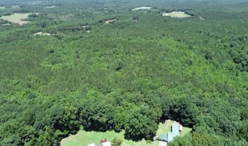 Photo #15 of SOLD property in Off Pumping Station Road, Sanford, NC 35.0 acres