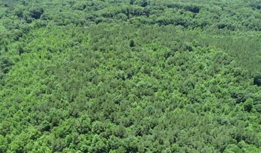 Photo #16 of SOLD property in Off Pumping Station Road, Sanford, NC 35.0 acres