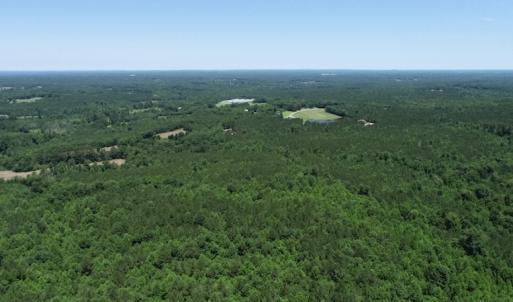 Photo #17 of SOLD property in Off Pumping Station Road, Sanford, NC 35.0 acres