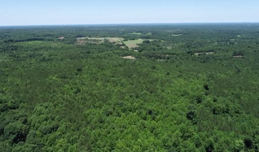 Photo #25 of SOLD property in Off Pumping Station Road, Sanford, NC 35.0 acres