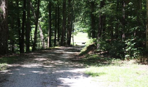 Photo #3 of SOLD property in Off Pumping Station Road, Sanford, NC 35.0 acres
