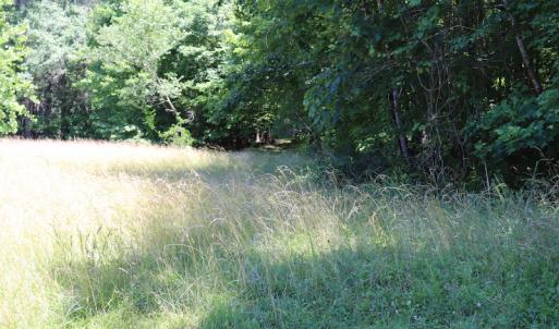 Photo #6 of SOLD property in Off Pumping Station Road, Sanford, NC 35.0 acres