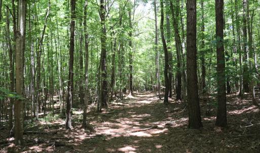Photo #8 of SOLD property in Off Pumping Station Road, Sanford, NC 35.0 acres