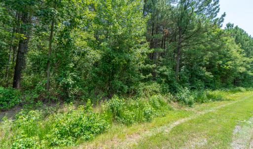 Photo #14 of SOLD property in Off Garrett Road, Liberty, NC 14.4 acres