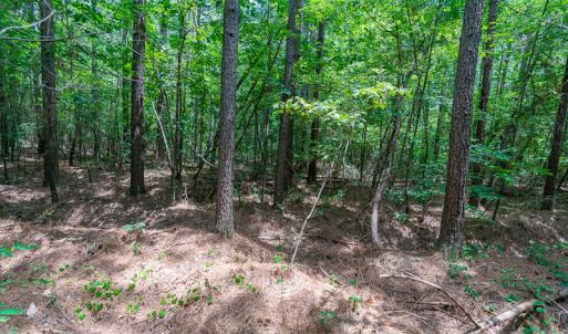 Photo #15 of SOLD property in Off Garrett Road, Liberty, NC 14.4 acres