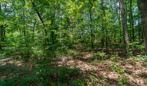 Photo #16 of SOLD property in Off Garrett Road, Liberty, NC 14.4 acres