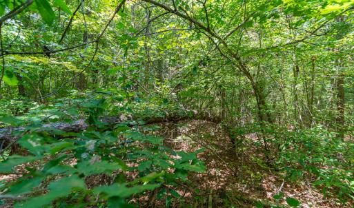 Photo #17 of SOLD property in Off Garrett Road, Liberty, NC 14.4 acres