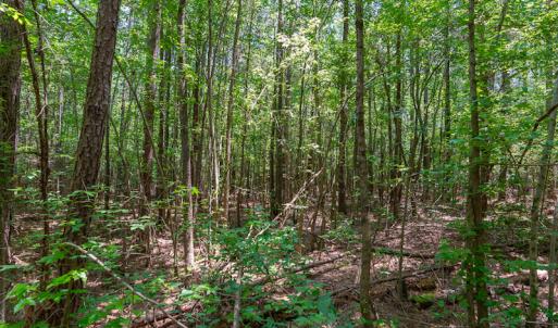 Photo #20 of SOLD property in Off Garrett Road, Liberty, NC 14.4 acres