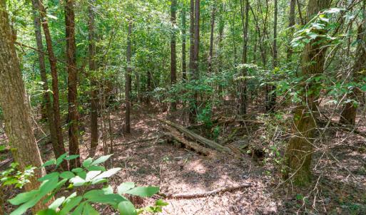 Photo #21 of SOLD property in Off Garrett Road, Liberty, NC 14.4 acres