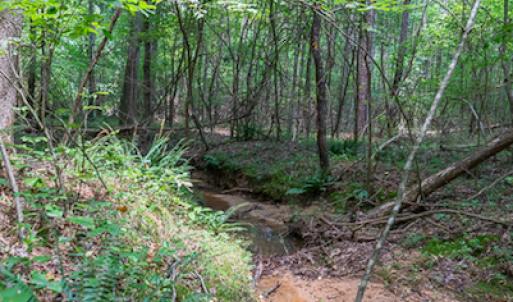 Photo #22 of SOLD property in Off Garrett Road, Liberty, NC 14.4 acres