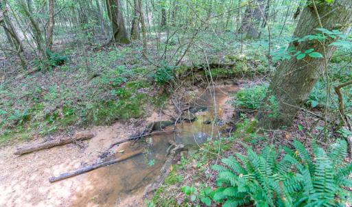 Photo #24 of SOLD property in Off Garrett Road, Liberty, NC 14.4 acres