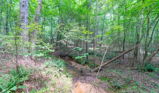 Photo #25 of SOLD property in Off Garrett Road, Liberty, NC 14.4 acres