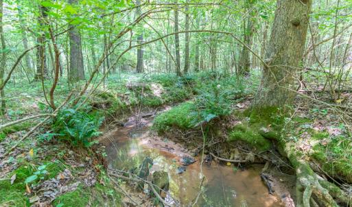 Photo #26 of SOLD property in Off Garrett Road, Liberty, NC 14.4 acres