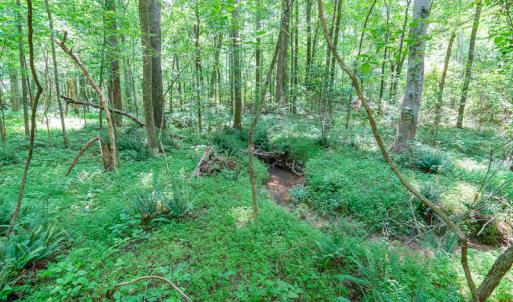 Photo #28 of SOLD property in Off Garrett Road, Liberty, NC 14.4 acres