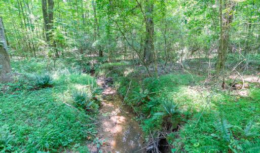 Photo #29 of SOLD property in Off Garrett Road, Liberty, NC 14.4 acres