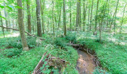 Photo #31 of SOLD property in Off Garrett Road, Liberty, NC 14.4 acres