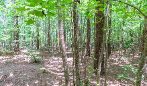 Photo #33 of SOLD property in Off Garrett Road, Liberty, NC 14.4 acres