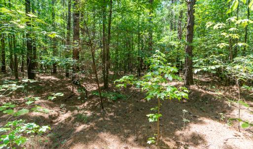 Photo #34 of SOLD property in Off Garrett Road, Liberty, NC 14.4 acres