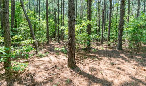 Photo #35 of SOLD property in Off Garrett Road, Liberty, NC 14.4 acres